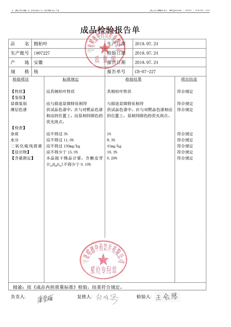 1907227側柏葉.jpg